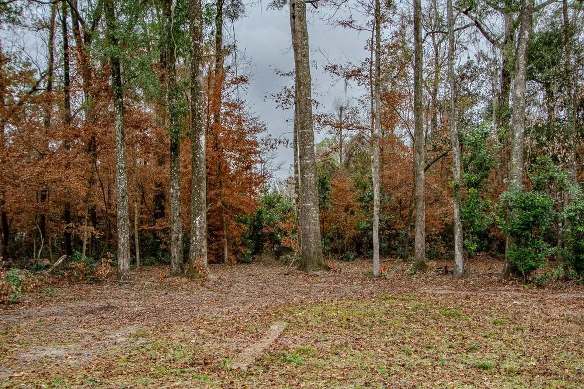 448 SW Central Terrace Fort White FL 32038