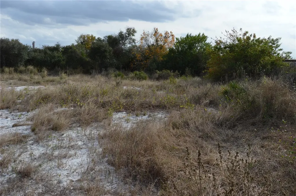 1472 Williams Gray Court Avon Park FL 33825