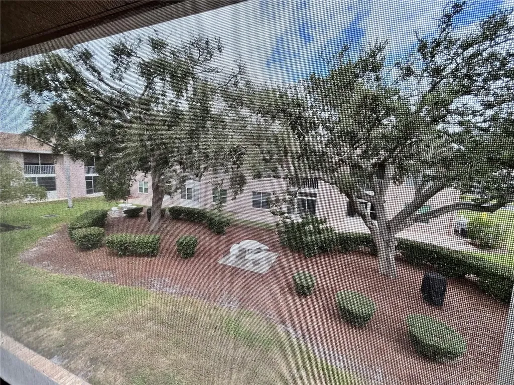 4826 Myrtle Oak Drive New Port Richey FL 34653
