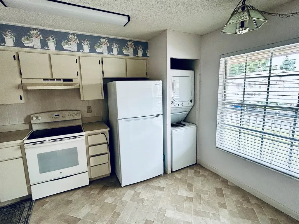 4826 Myrtle Oak Drive New Port Richey FL 34653
