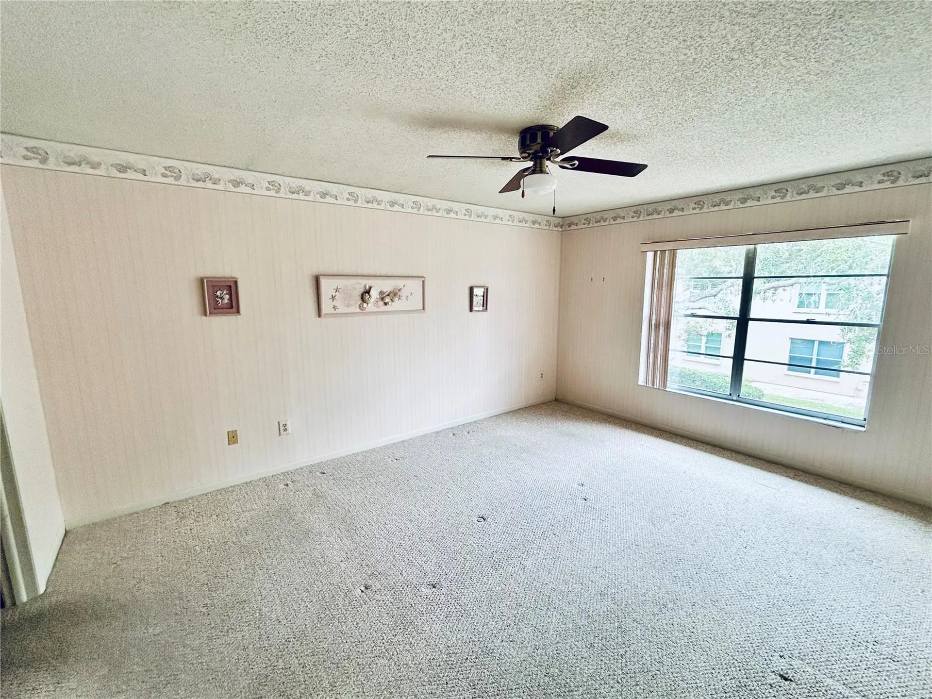 4826 Myrtle Oak Drive New Port Richey FL 34653