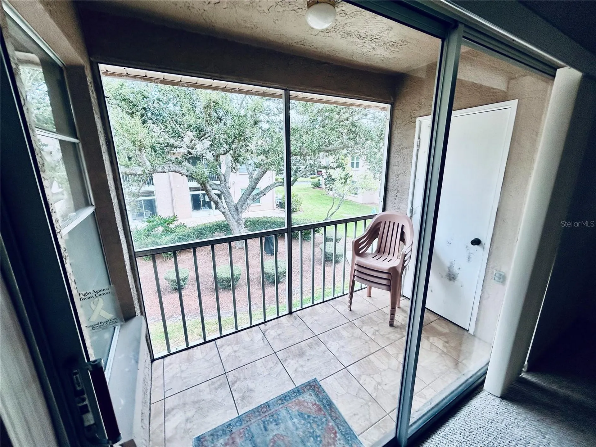 4826 Myrtle Oak Drive New Port Richey FL 34653