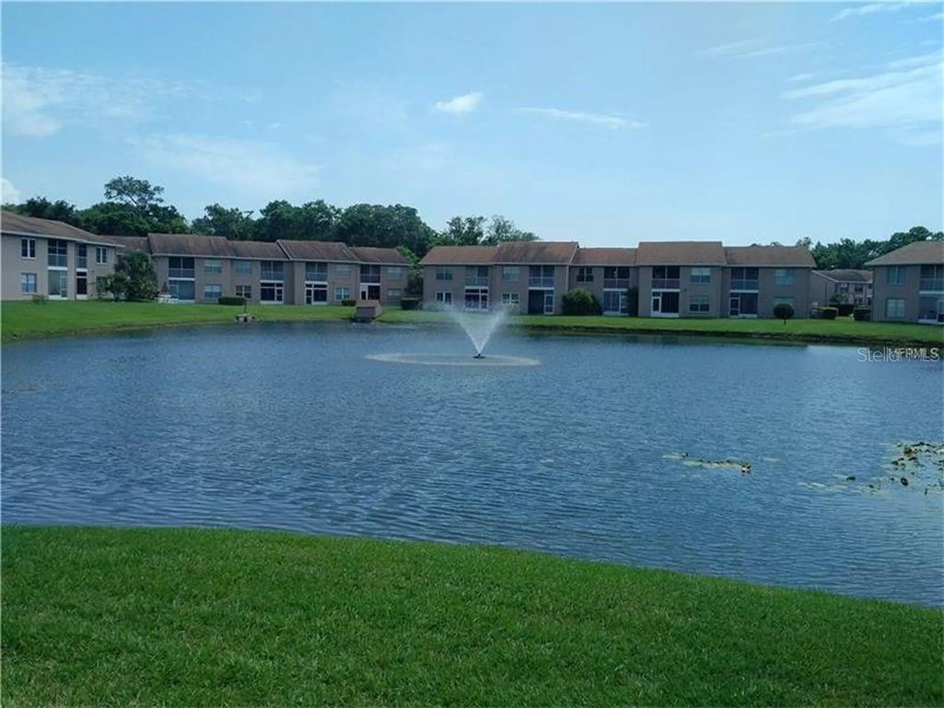 4826 Myrtle Oak Drive New Port Richey FL 34653