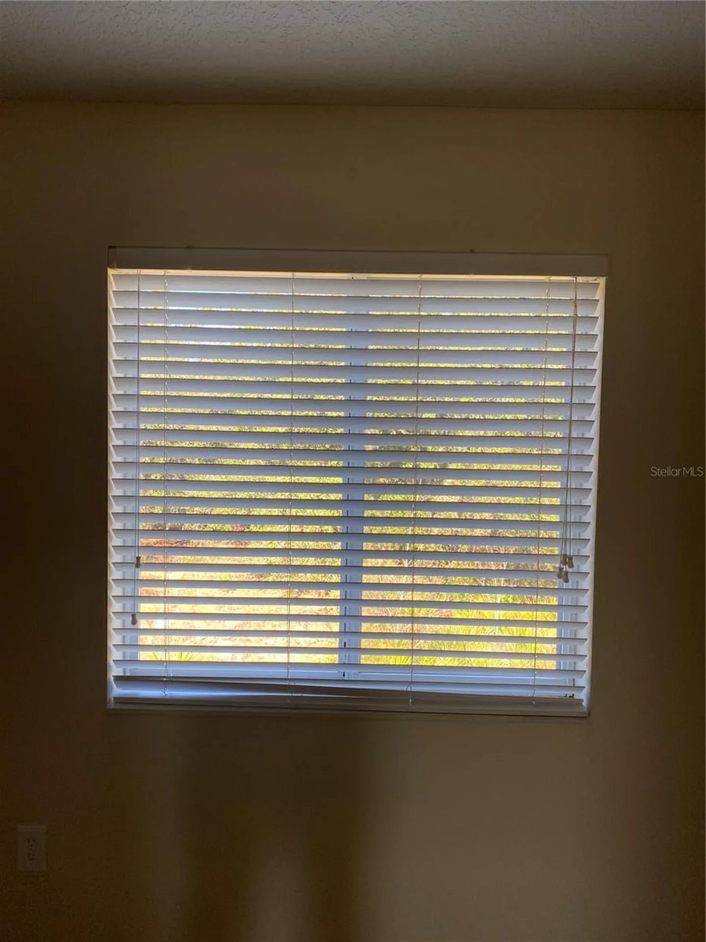 8556 Trail Wind Drive Tampa FL 33647