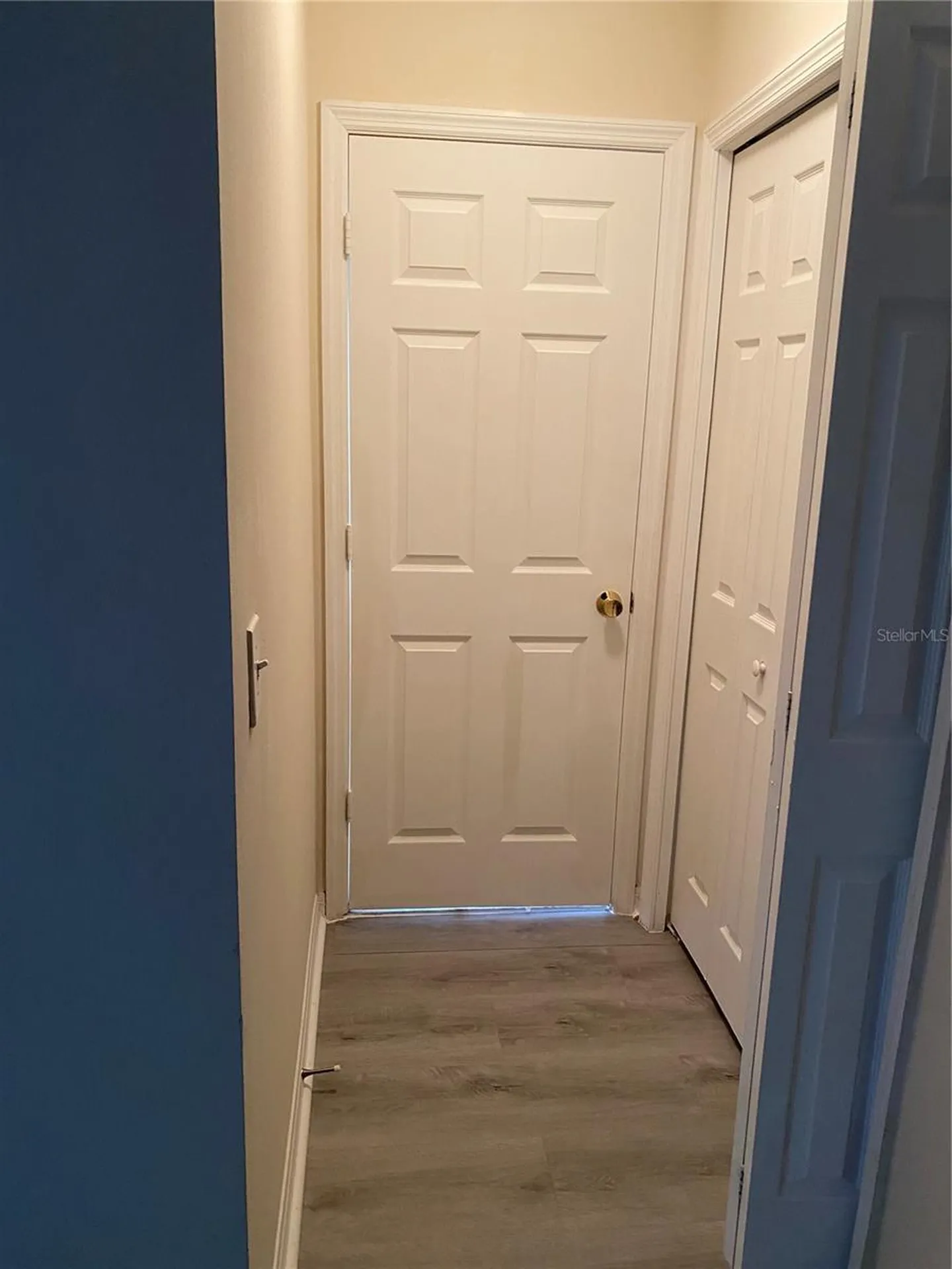 8556 Trail Wind Drive Tampa FL 33647