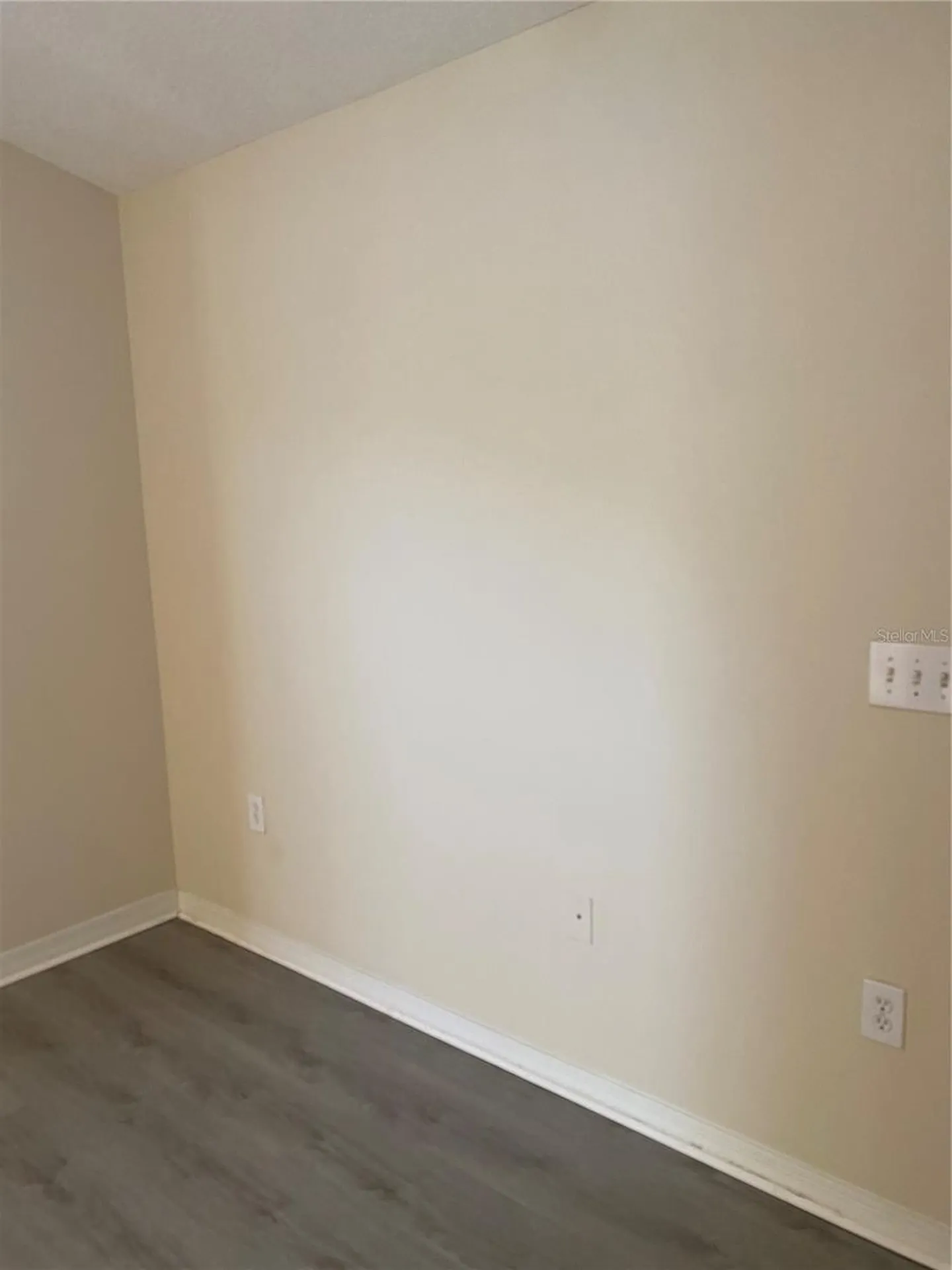 8556 Trail Wind Drive Tampa FL 33647