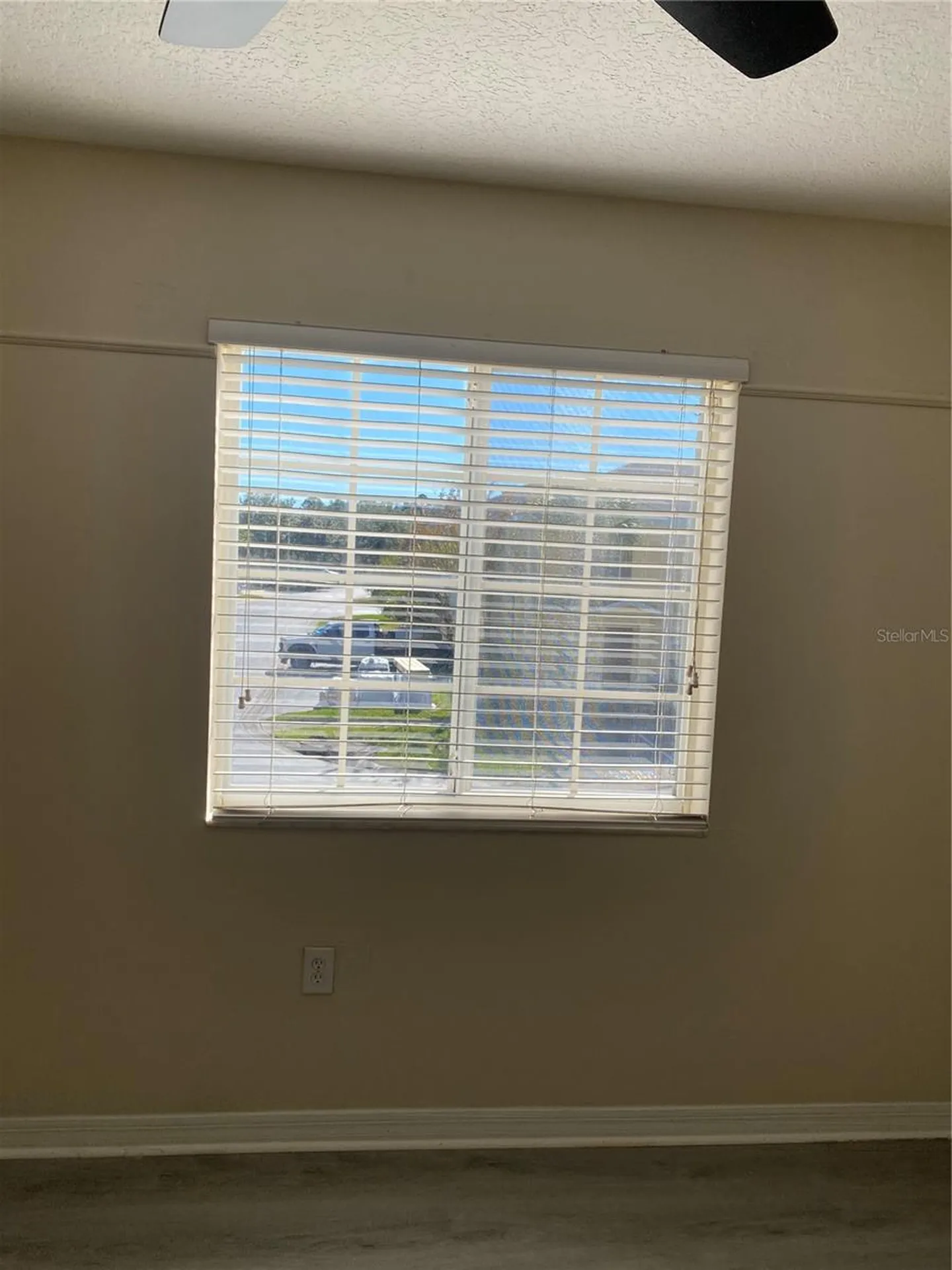8556 Trail Wind Drive Tampa FL 33647