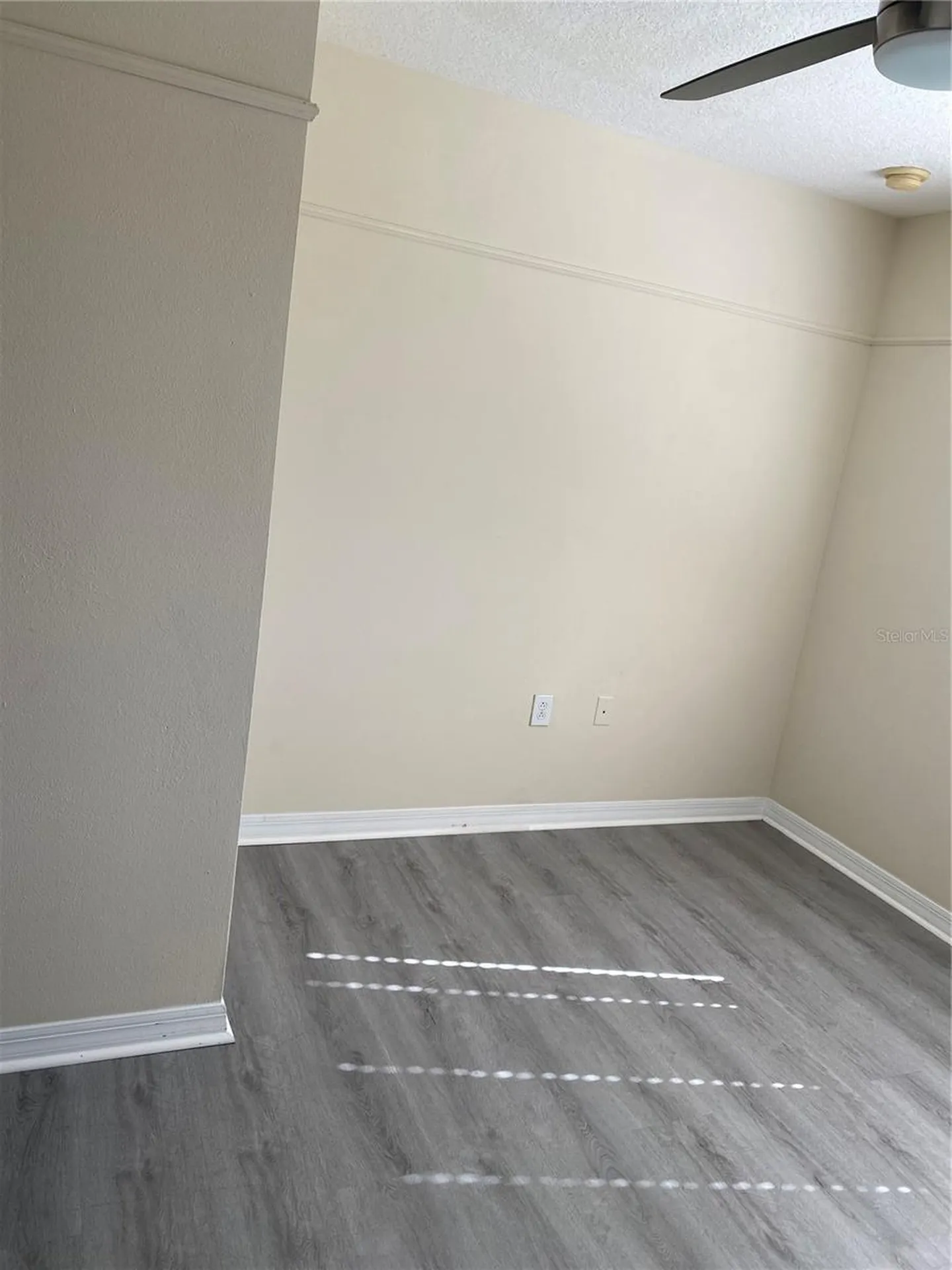 8556 Trail Wind Drive Tampa FL 33647