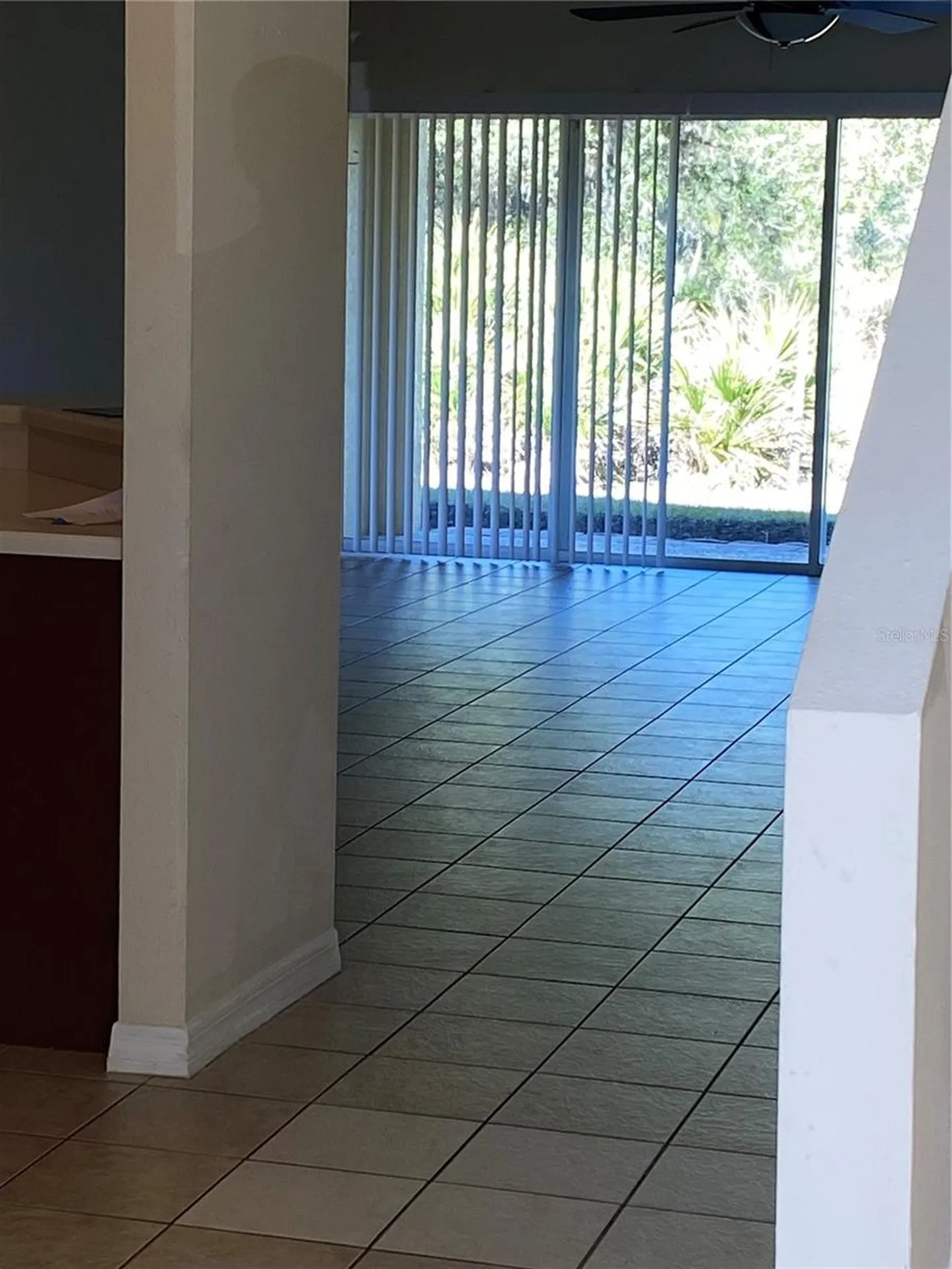 8556 Trail Wind Drive Tampa FL 33647