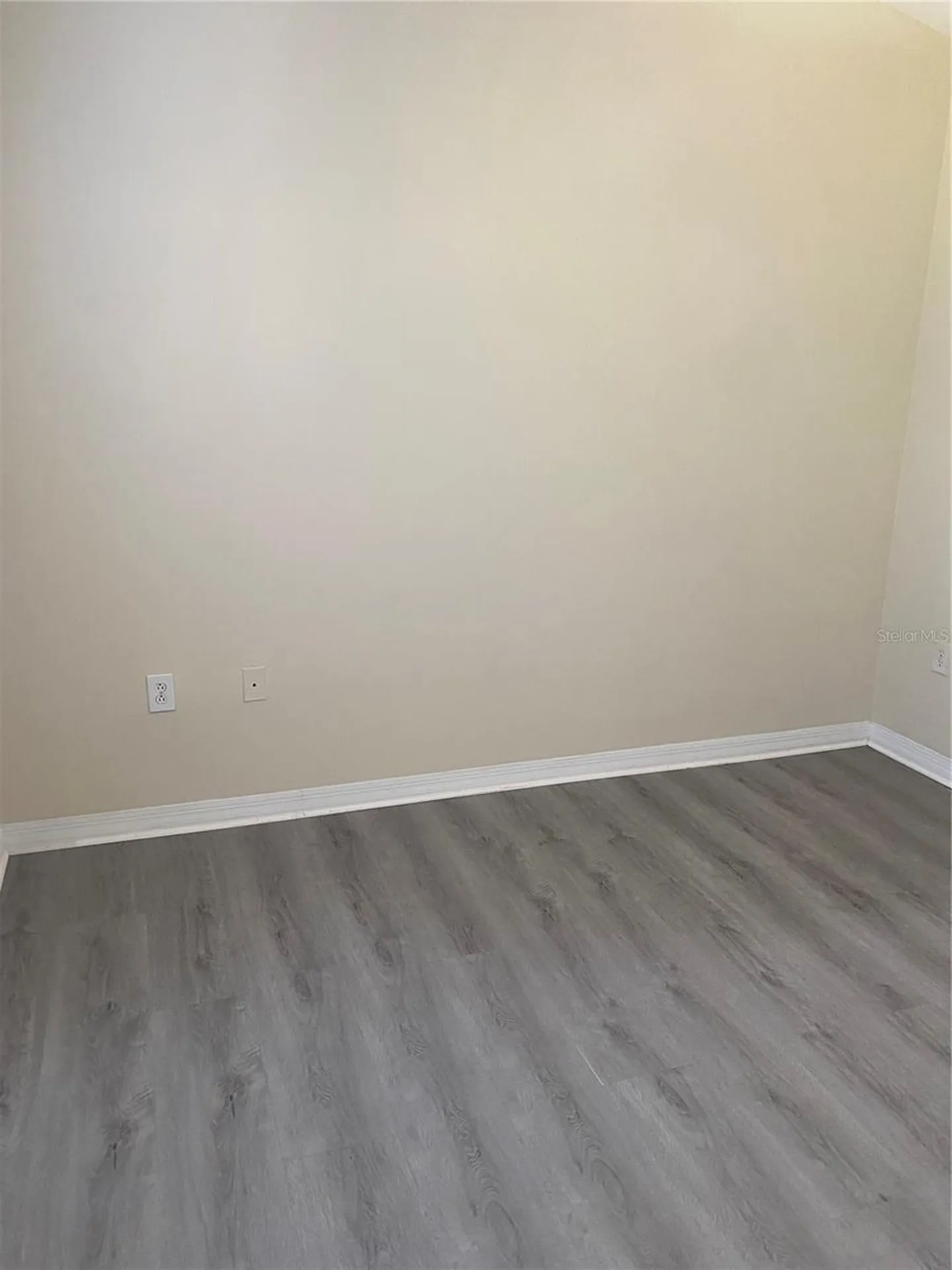 8556 Trail Wind Drive Tampa FL 33647