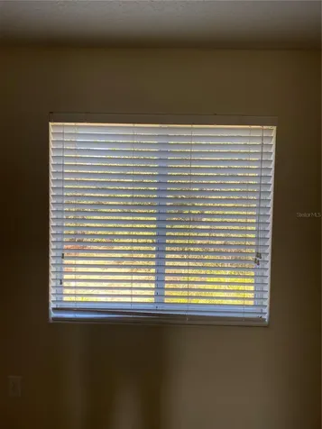 8556 Trail Wind Drive Tampa FL 33647