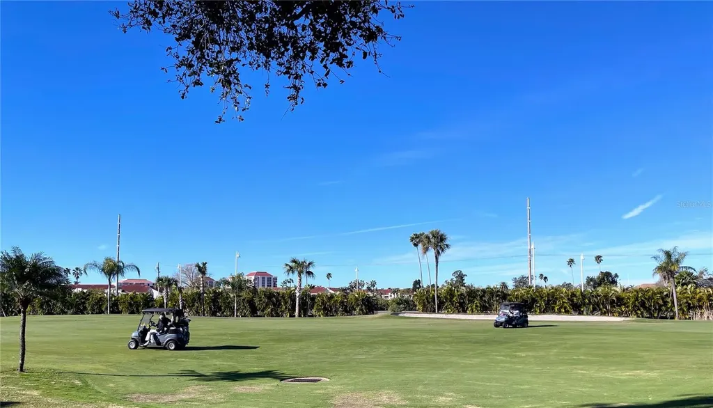 6269 Palma Del Mar Boulevard St Petersburg FL 33715