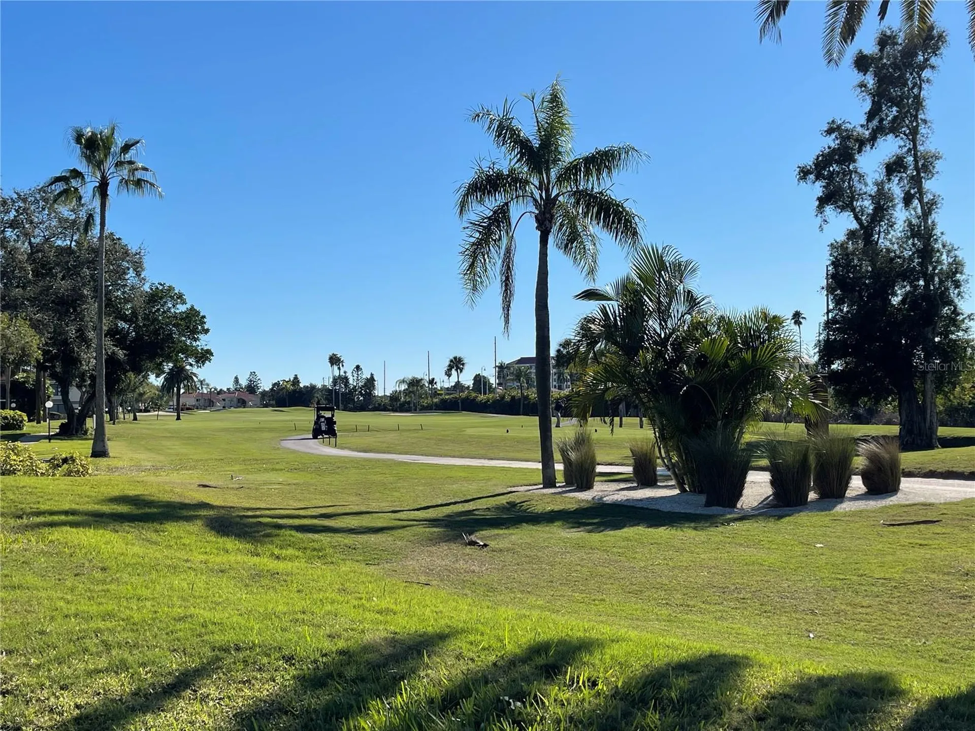 6269 Palma Del Mar Boulevard St Petersburg FL 33715