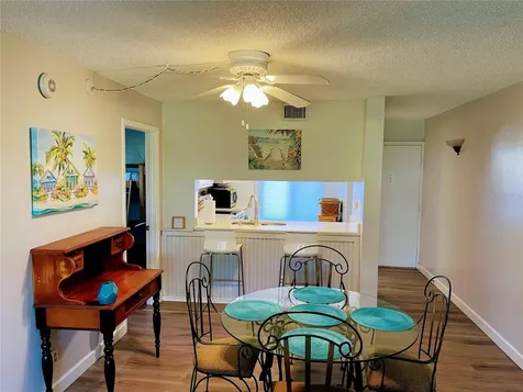 6269 Palma Del Mar Boulevard St Petersburg FL 33715