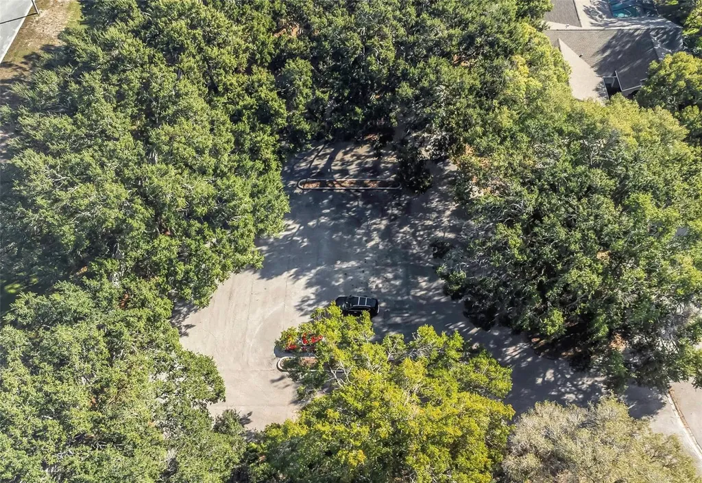 1518 Fishing Lake Drive Odessa FL 33556