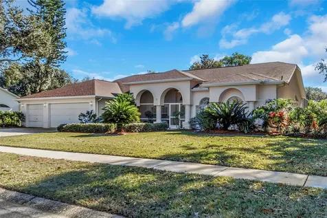 1518 Fishing Lake Drive Odessa FL 33556