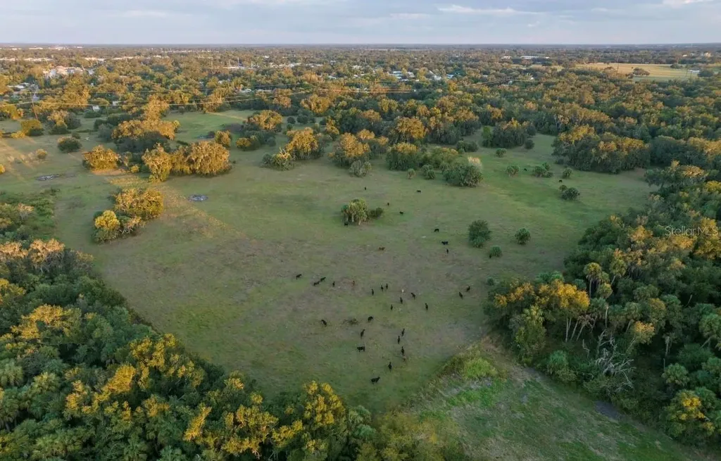 1061 Harris Road Arcadia FL 34266