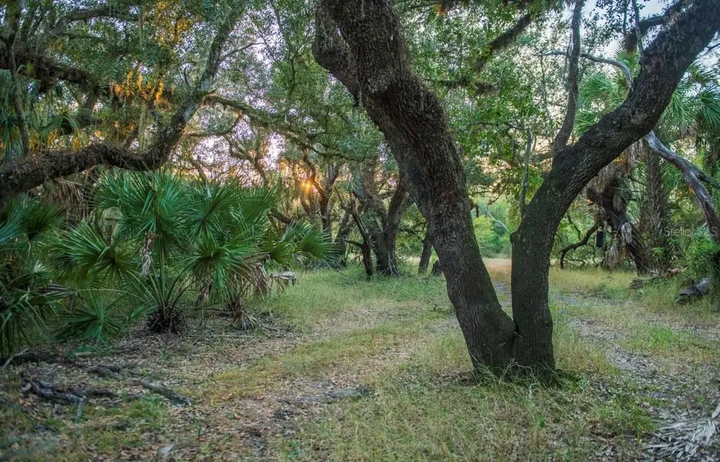 1061 Harris Road Arcadia FL 34266