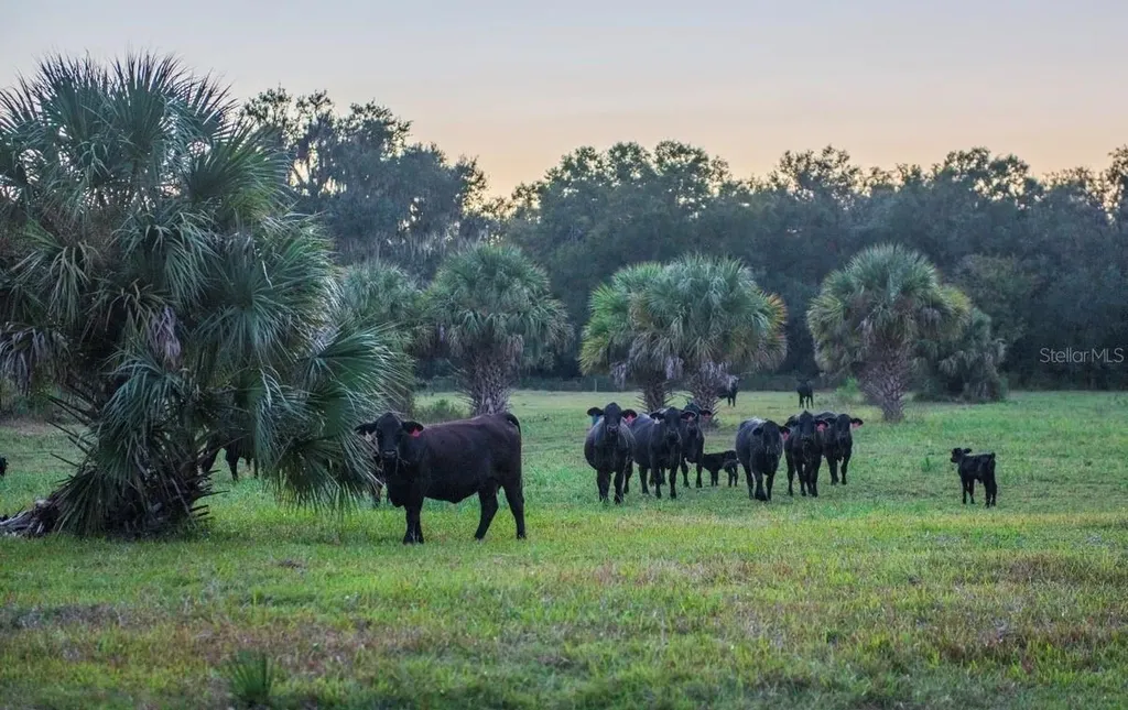 1061 Harris Road Arcadia FL 34266