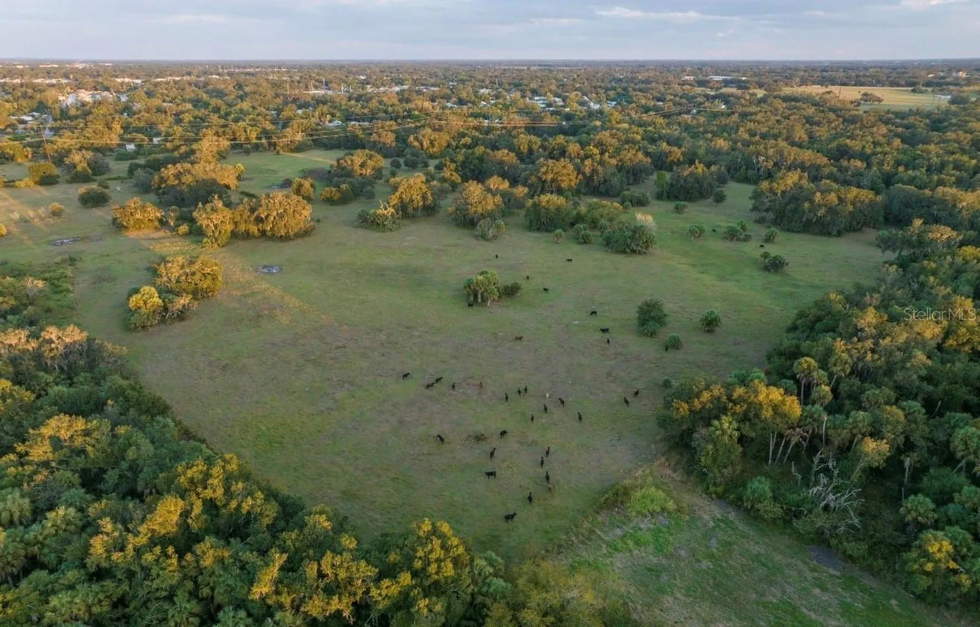 1061 Harris Road Arcadia FL 34266