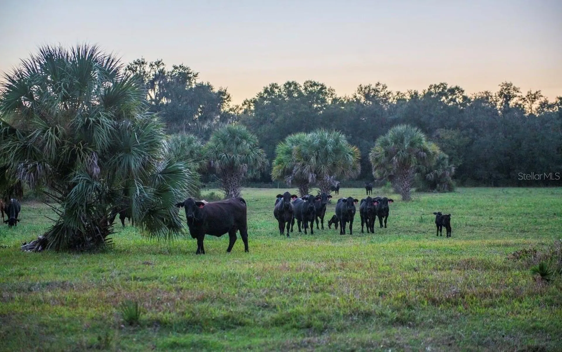 1061 Harris Road Arcadia FL 34266