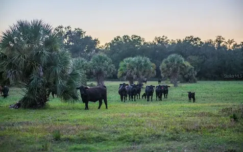 1061 Harris Road Arcadia FL 34266