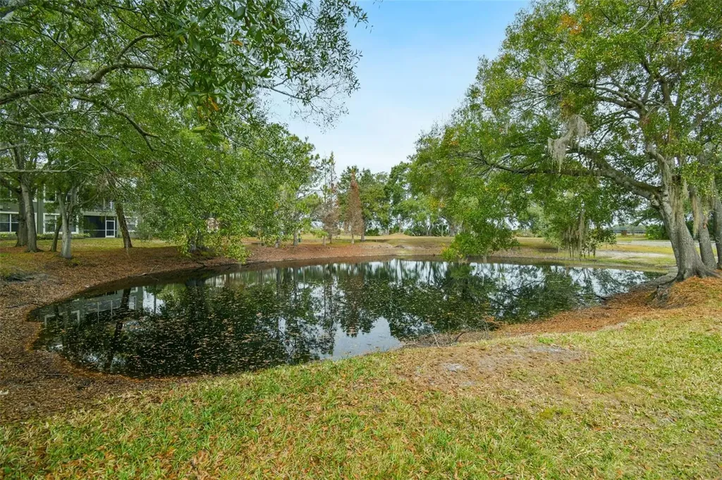 2013 Santa Catalina Lane Riverview FL 33578