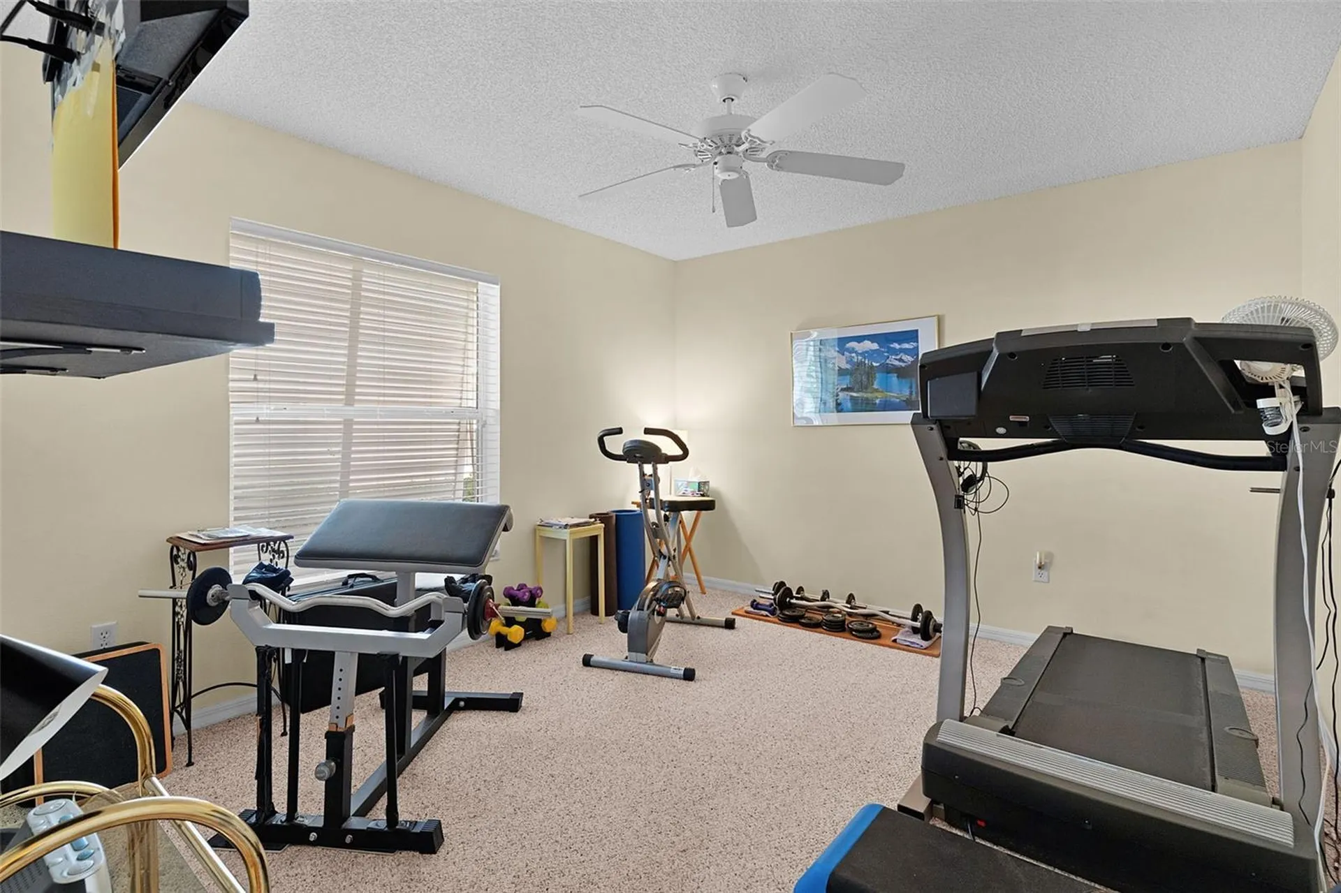 1988 Palo Alto Avenue The Villages FL 32159