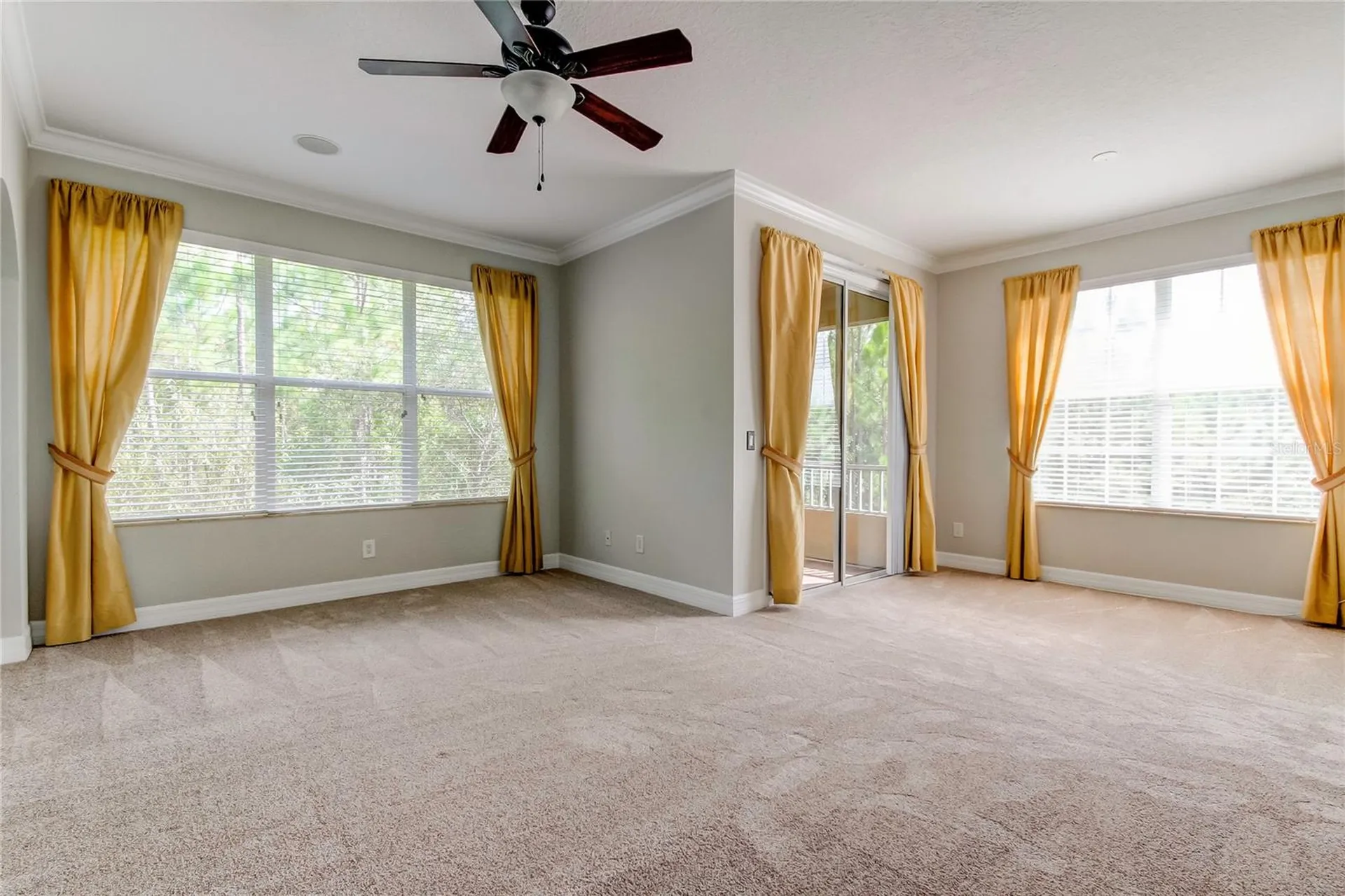 12507 Silverdale Street Tampa FL 33626