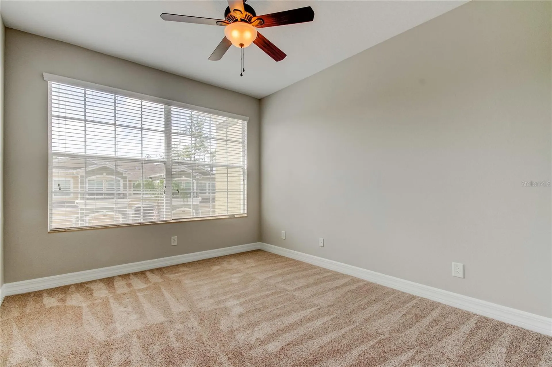 12507 Silverdale Street Tampa FL 33626
