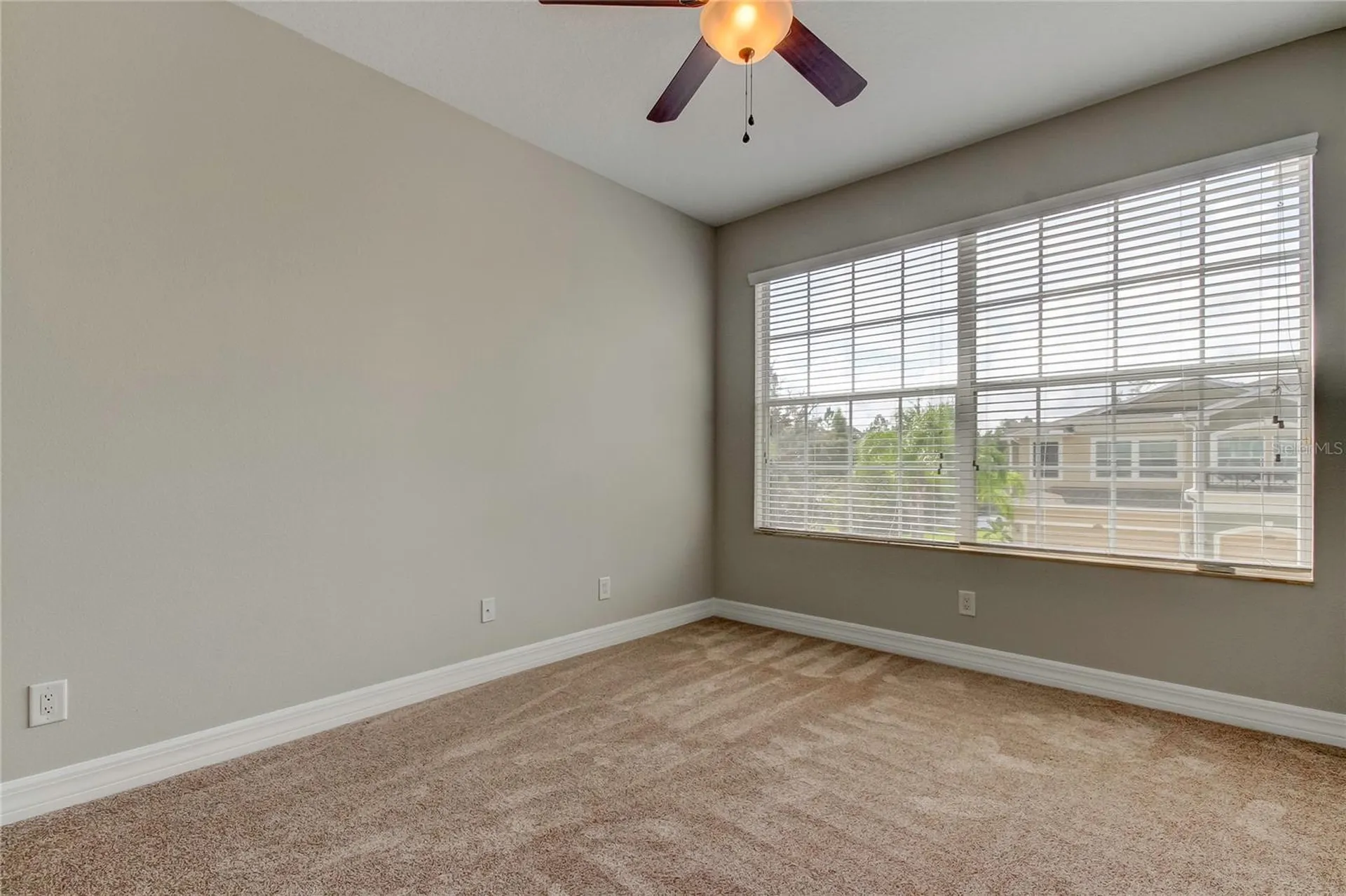 12507 Silverdale Street Tampa FL 33626
