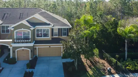 12507 Silverdale Street Tampa FL 33626