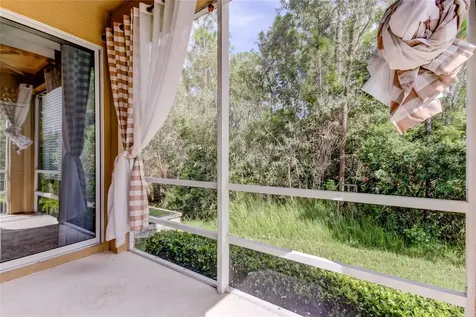 12507 Silverdale Street Tampa FL 33626
