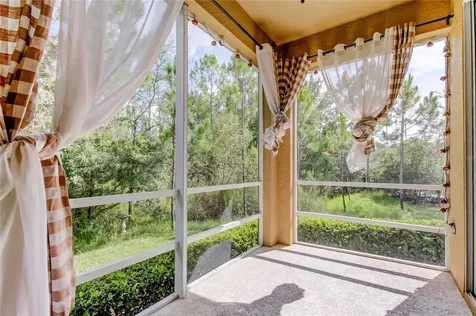 12507 Silverdale Street Tampa FL 33626