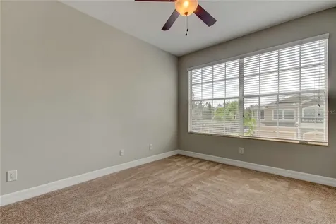 12507 Silverdale Street Tampa FL 33626
