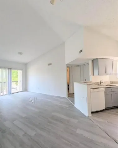 1956 Lake Atriums Circle Orlando FL 32839
