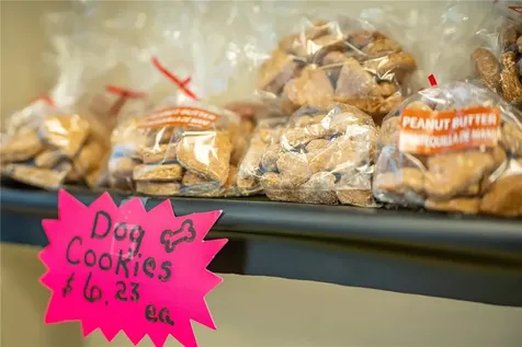 175 N Nova Road Ormond Beach FL 32174