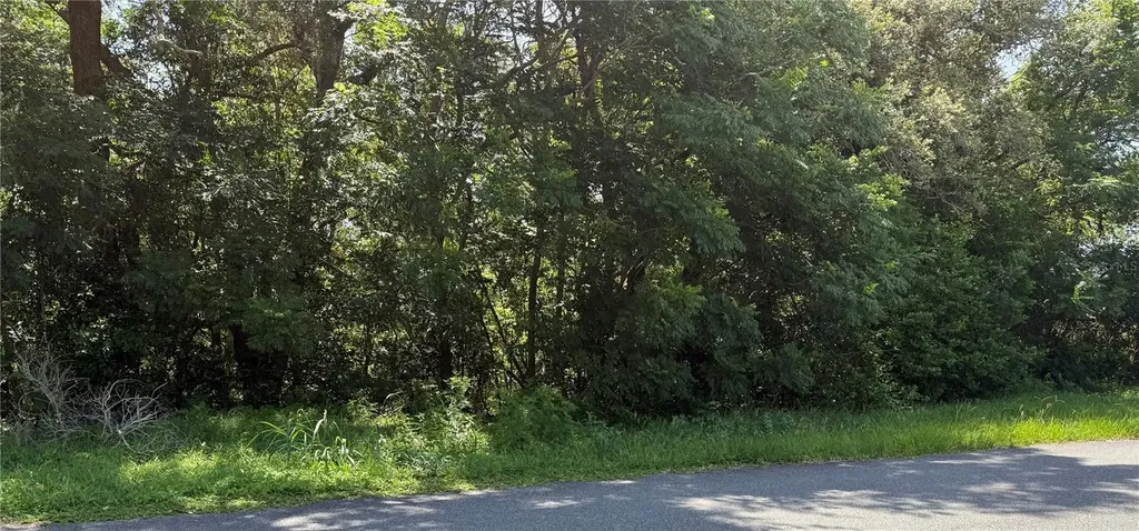 Hutchinson Way Lady Lake FL 32159