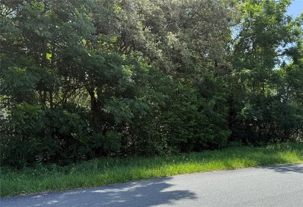 Hutchinson Way Lady Lake FL 32159