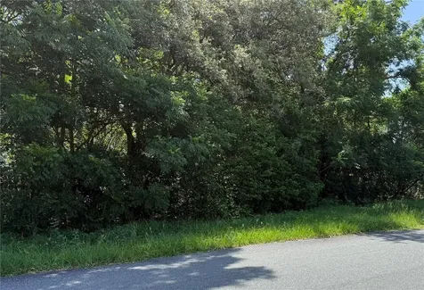 Hutchinson Way Lady Lake FL 32159