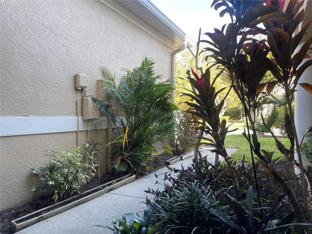 11030 Blaine Top Place Tampa FL 33626