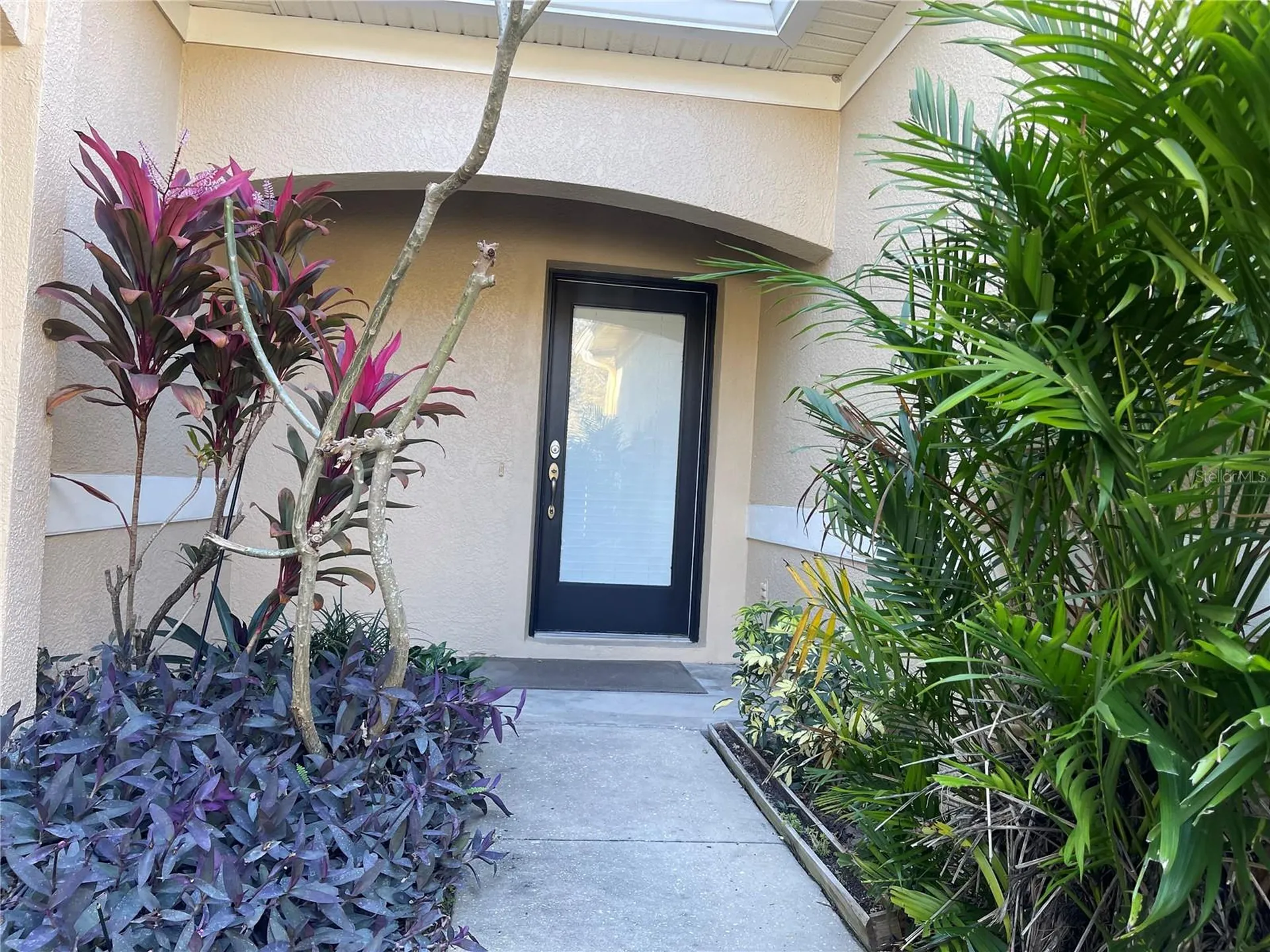 11030 Blaine Top Place Tampa FL 33626