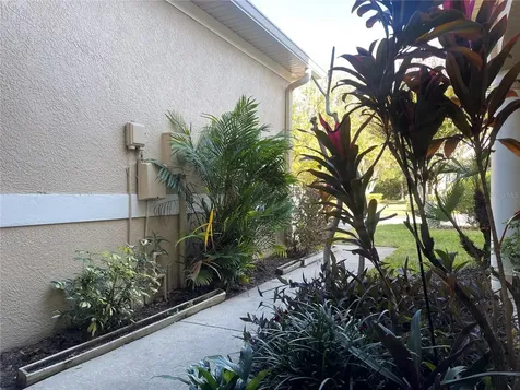 11030 Blaine Top Place Tampa FL 33626