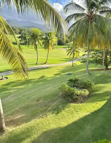 802 Rio Mar Village Rio Grande PR 00745