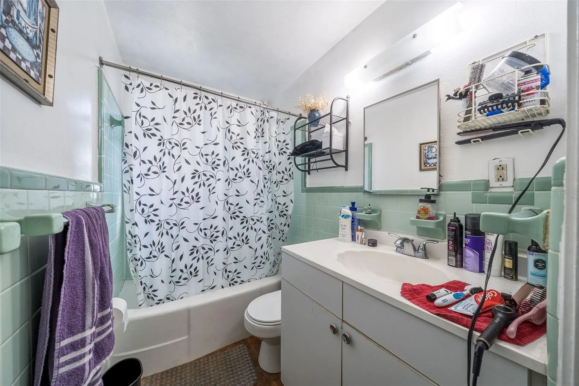 708 N Saint Clair Abrams Avenue Tavares FL 32778