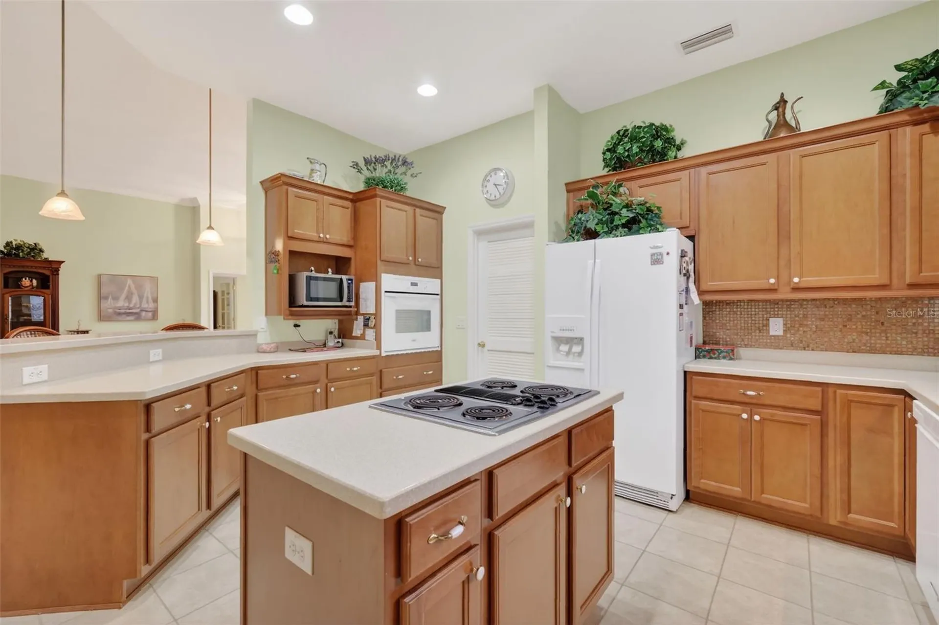 3054 New Haven Place Mount Dora FL 32757