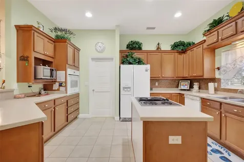 3054 New Haven Place Mount Dora FL 32757