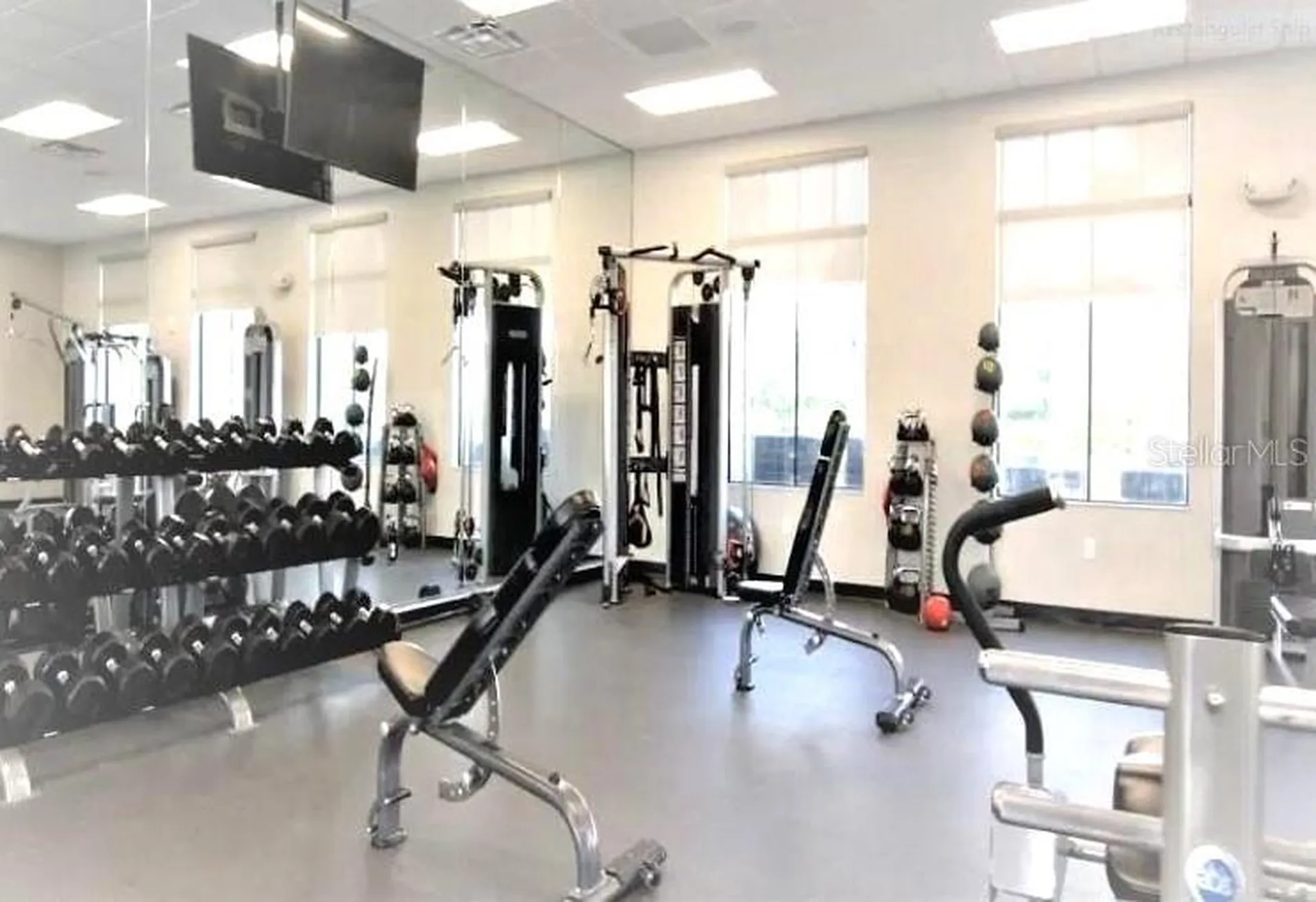 14228 Vindel Circle Fort Myers FL 33905