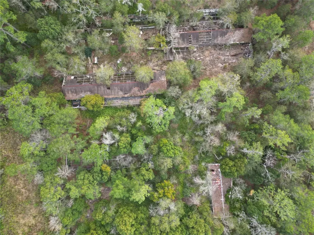 36242 County Road 439 Eustis FL 32736