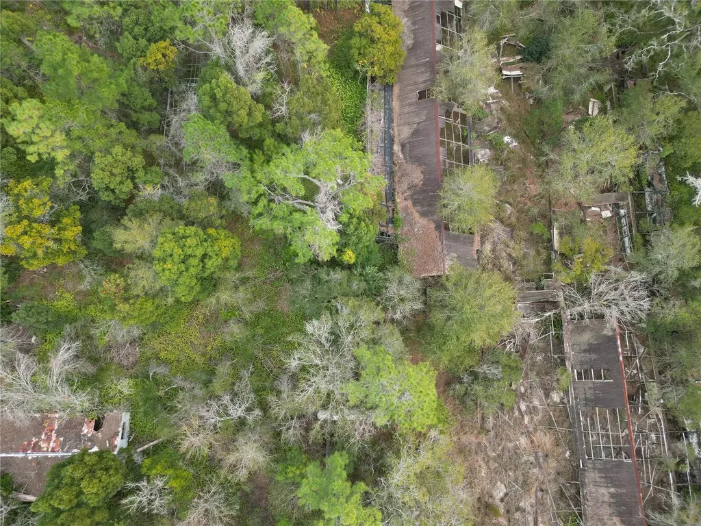 36242 County Road 439 Eustis FL 32736